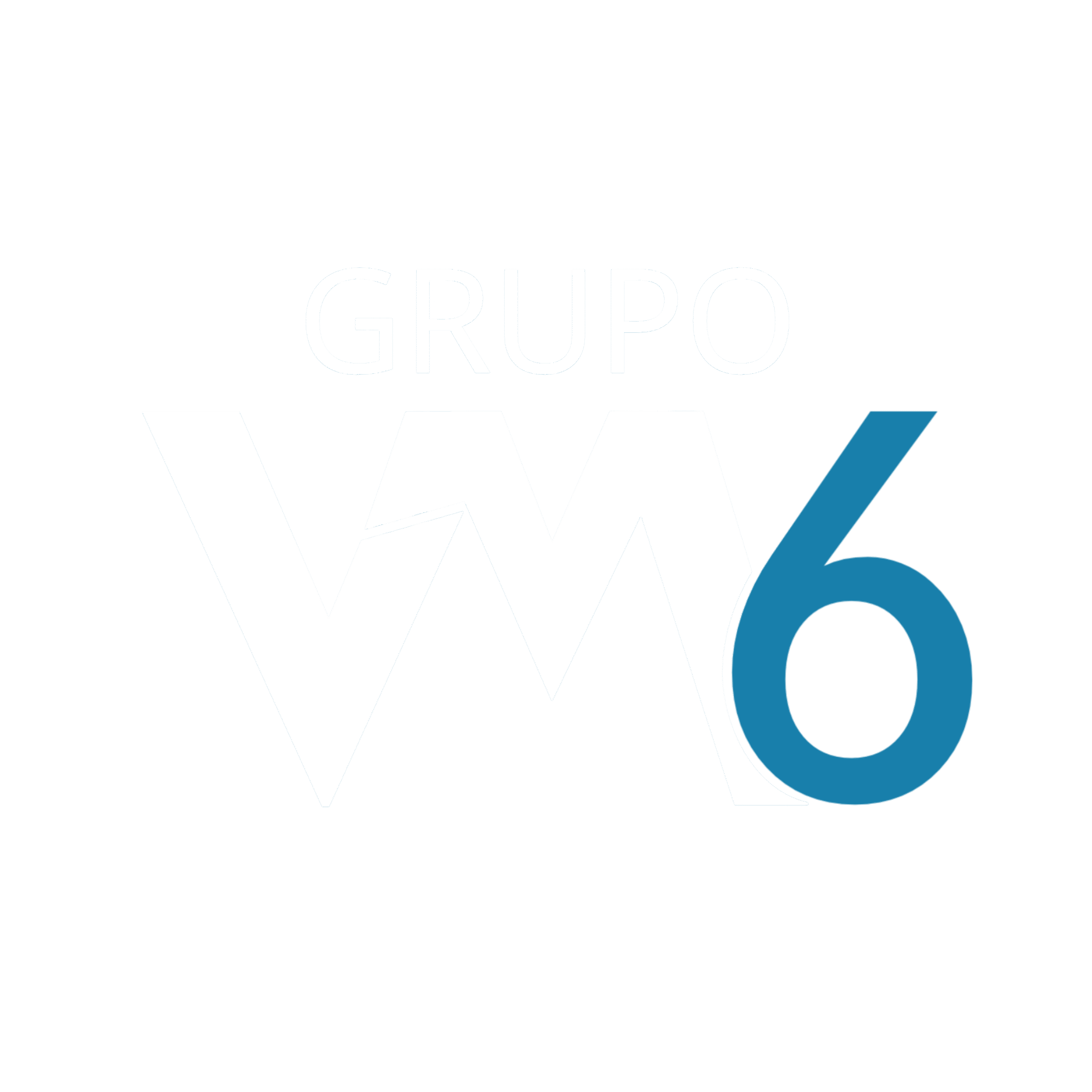 GRUPO VM6